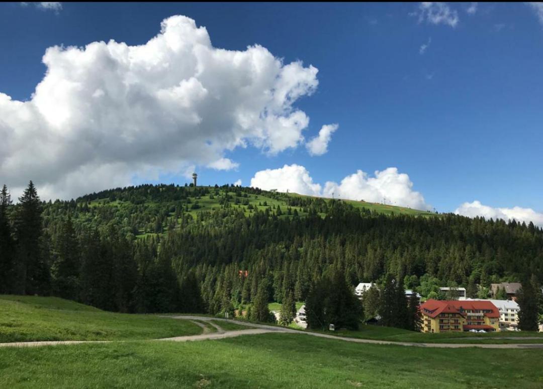 Ferienwohnung Feldberg Mit Whirlpool Direkt An Der Skipiste Εξωτερικό φωτογραφία